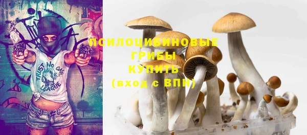 хмурый Волосово