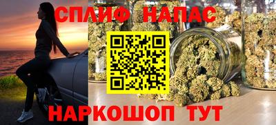 прущие грибы Дубна