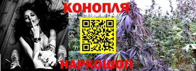 скорость Заволжье