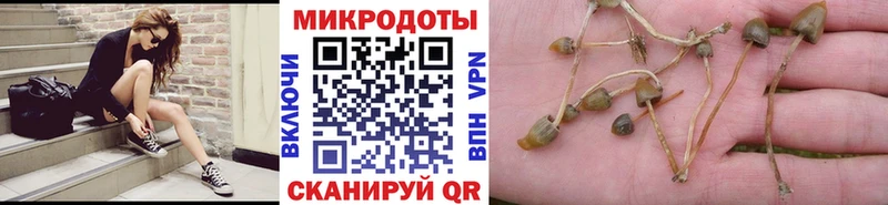 Галлюциногенные грибы Psilocybe  магазин    ОМГ ОМГ маркетплейс  Ивантеевка 